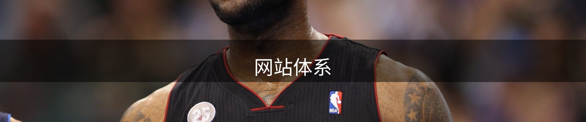 网站体系